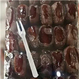 خرمای کلوته