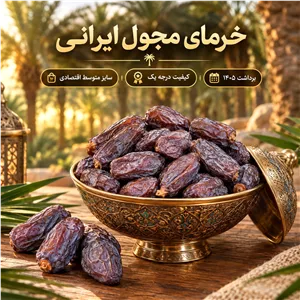 خرمای مجول ایرانی برداشت 405