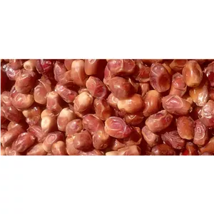 خرما زاهدی 1000گرمی