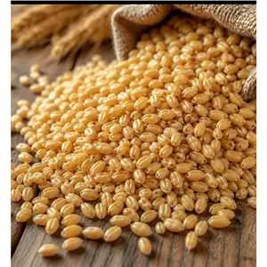 گندم پوست کنده 