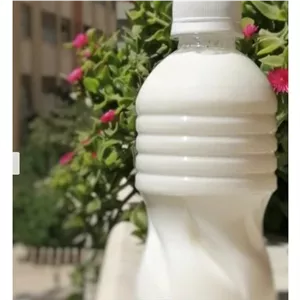 دوغ محلی