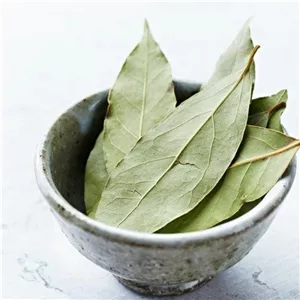 برگ بو اعلا 25 گرمی اعتماد درشت و سبز و تازه و سالم