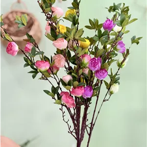 شاخه گل نسترن