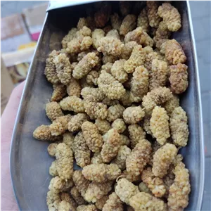 توت خشک شمرونی سوپر اعلا درشت (250گرم)