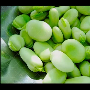 باقالی مازندرانی