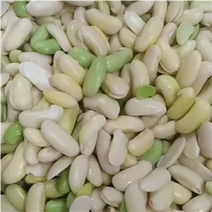 باقالی کشاورزی