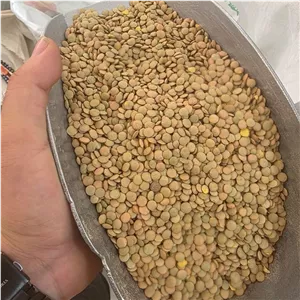 عدس درشت یک کیلویی 