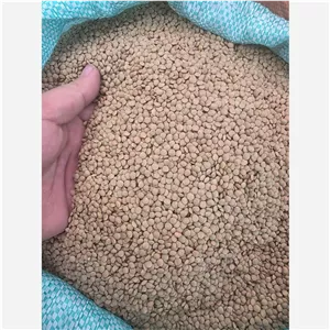 عدس ریز پاک شده تمیز