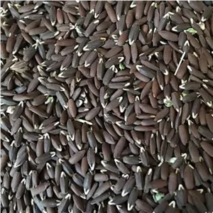 تخم کتان سیاه برزک (250 گرم)