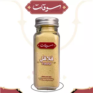 ادویه فلافل - شیشه مکارتی 100 گرمی