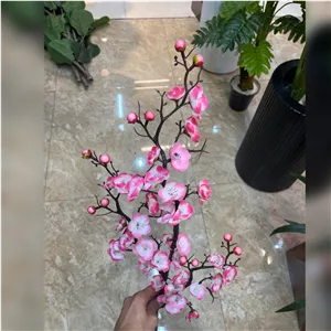 شاخه شکوفه بِه ژاپنی
