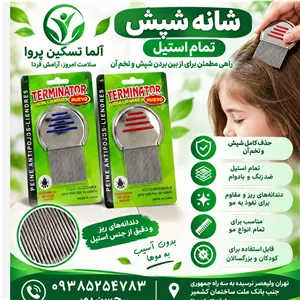 شانه شپش تمام استیل مجموعه 30 عددی 