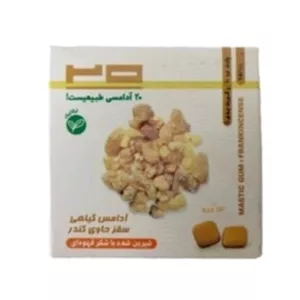 آدامس طبیعی سقز با طعم کندر (سبک زندگی اسلامی شیعی)