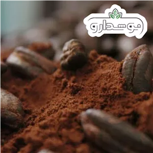 پودر هسته خرما 100 کیلویی (گونی)