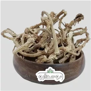 ریشه گزنه 10 کیلویی (ارسال رایگان) کارتن
