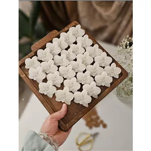 شمع ارکیده