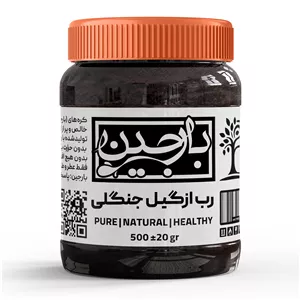 رب ازگیل جنگلی محلی 500 گرمیعموعطار بارجین