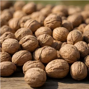 گردوی پوست کاغذی 500گرمی تازه بار امسالgerdo002