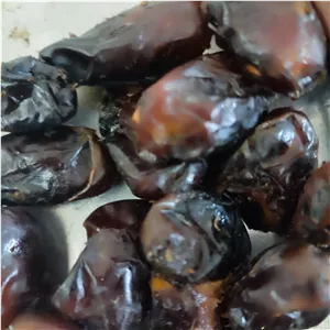 خرمای شیره دار تنگستان 