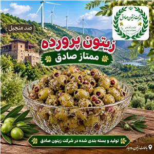 زیتون پرورده ممتاز صادق