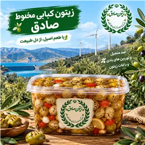 زیتون کبابی مخلوط صادق