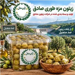 زیتون مزه طوری صادق