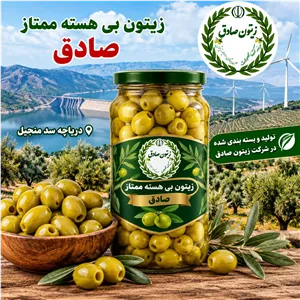 زیتون بی هسته ممتاز صادق