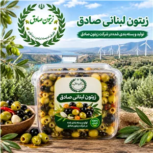 زیتون لبنانی صادق