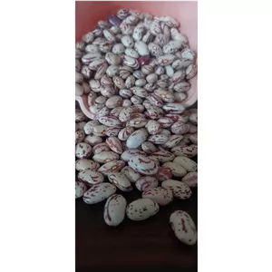 لوبیا چیتی بسته 10کیلویی