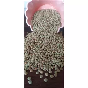 عدس ریز مغان بسته 10کیلویی