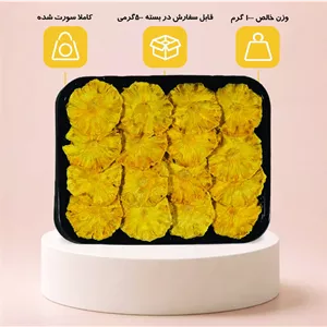 میوه خشک اناناس طبیعی