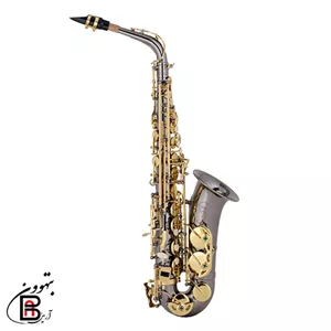 ساکسوفون آلتو شاتو CAS-21BL