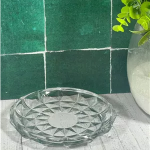 17821702W پیش دستی آکوامارین نوری تازه (6) بسته 6 تایی ارسال نیمه رایگان