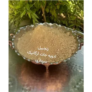 پودر و قلم زنجبیل 