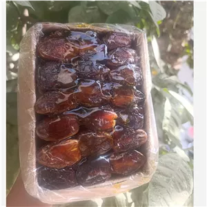 خرما شاوی 3کیلویی امسالی درجه یک با ارسال رایگان و تضمین کیفیت