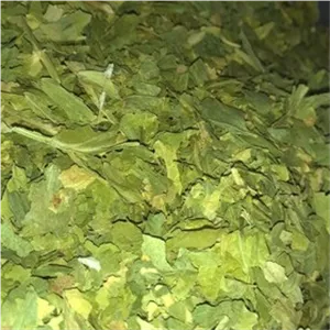 کرفس خشک کوهی اعلا