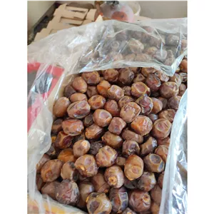 خرمای برهی درجه یک اصل (بسته 5 کیلویی) - درشت، پرگوشت و عسلی (بار سفارشی امسال)