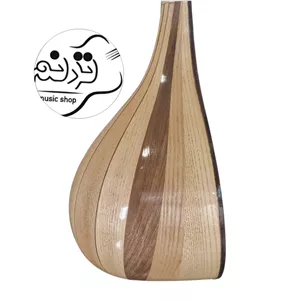 سه تار نوروزیان