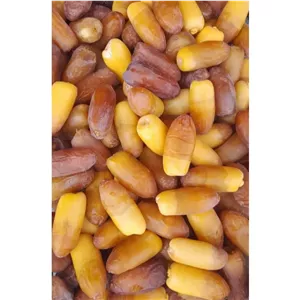رطب شاهانی جهرم