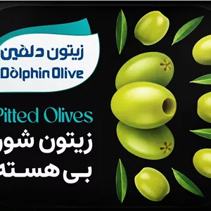 زیتون شور بی هسته قایقی بزرگ ویژه 220 گرم