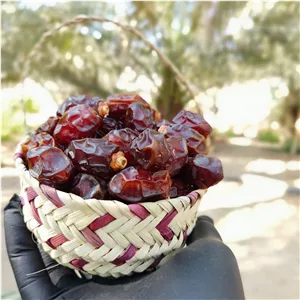 خرما خاصویی آجیلی ممتاز 24 کیلویی برداشت 405