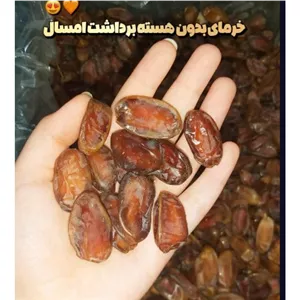 خرما بدون هسته 100گرم