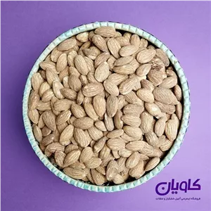 مغز بادام درختی زرین سایز22