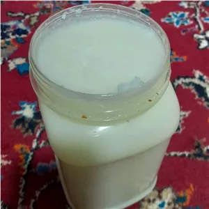 کره یا روغن گوسفندی(روغن زرد) اعلا، از طبیعت بکر طبس