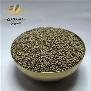 شاهدانه آجیلی
