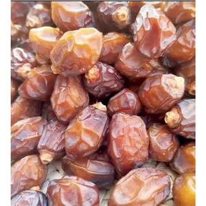 ریزه اجیلی خرمای خاصوی یا خاصه شهرستان جم 