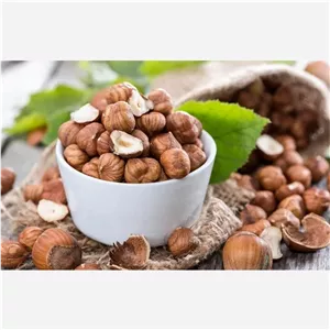 فندق خام اشکورات(گیلان رودسر)محصول 1405