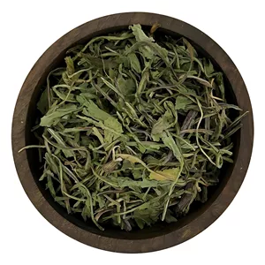 برگ کاسنی