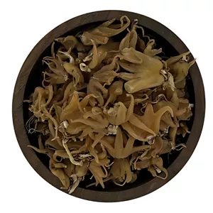 ثعلب پنجه