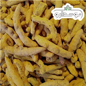 زردچوبه 10 کیلویی (کارتن) 